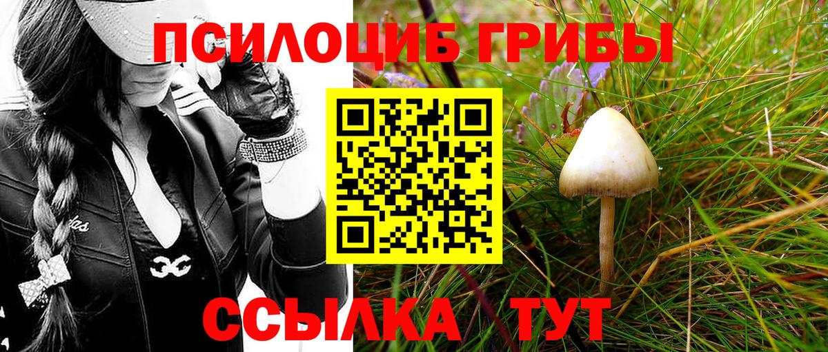 купить  сайты  Галлюциногенные грибы Magic Shrooms  Вход с VPN  Грязи 