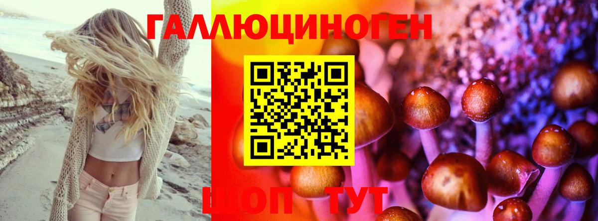 Псилоцибиновые грибы Magic Shrooms Грязи